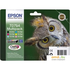 Картридж Epson EPT079A4A10