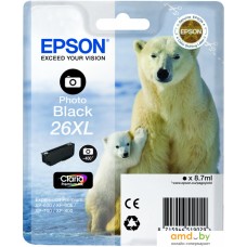 Картридж Epson C13T26314010