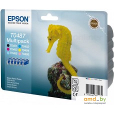 Картридж Epson EPT04874010 (C13T04874010)