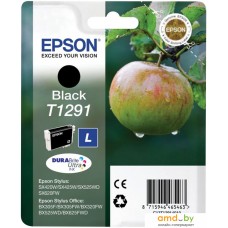 Картридж Epson C13T12914011