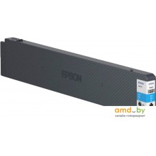 Картридж Epson C13T887200