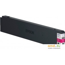 Картридж Epson C13T887300