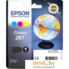 Картридж Epson C13T26704010