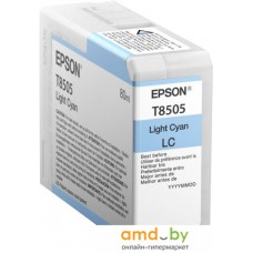 Картридж Epson C13T850500