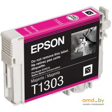 Картридж Epson C13T13034010