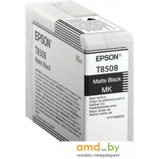 Картридж Epson C13T850800