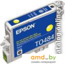 Картридж Epson EPT04844010 (C13T04844010)