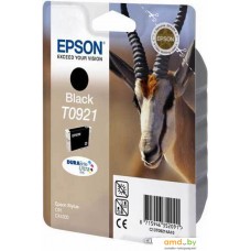 Картридж Epson EPT09214A10 (C13T10814A10)