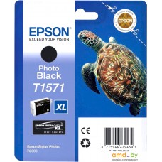 Картридж Epson C13T15714010