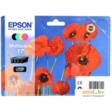 Картридж Epson C13T17064A10