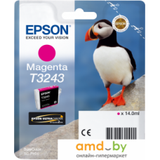 Картридж Epson C13T32434010