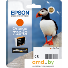 Картридж Epson C13T32494010