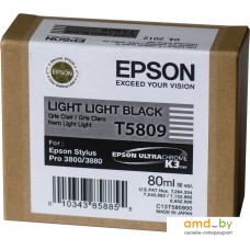 Картридж Epson C13T580900