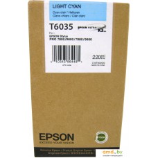 Картридж Epson C13T603500