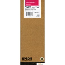 Картридж Epson C13T606300