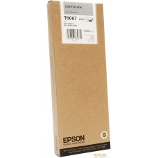 Картридж Epson C13T606700