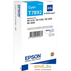 Картридж Epson C13T789240