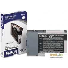 Картридж Epson C13T543700