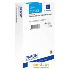 Картридж Epson C13T756240