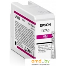 Картридж Epson C13T47A300