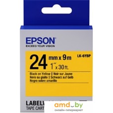 Картридж-лента для термопринтера Epson C53S656005 (9 м, 24 мм)