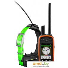 Портативный GPS-трекер Garmin Alpha 100 с ошейником TT15