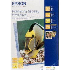 Фотобумага Epson Premium Glossy Photo Paper 13x18 50 листов (C13S041875)