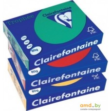 Офисная бумага Clairefontaine Trophee интенсив A4 80г/кв.м 500 л (ярко-зеленый)