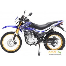 Мотоцикл Regulmoto SK 250GY-5 (синий)