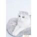 Домик Furrytail Hand Held Soft Cat Bed. Фото №14