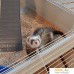 Клетка Ferplast Furet Tower 57063414. Фото №9