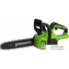 Аккумуляторная пила Greenworks G24CS25 2007707 (без АКБ)