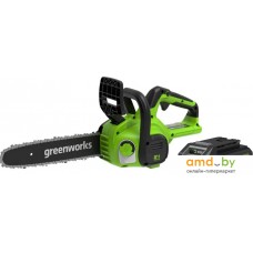 Аккумуляторная пила Greenworks G24CS25K2 2007707UA (с 1-им АКБ 2 Ач)