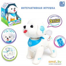 Интерактивная игрушка IQ Bot Мой дружок 7732284