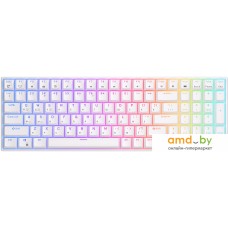 Клавиатура Royal Kludge RK100 RGB (белый, RK Red)