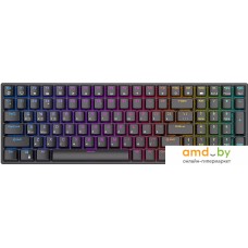 Клавиатура Royal Kludge RK100 RGB (черный, RK Red)