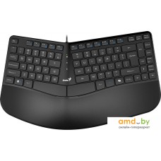 Клавиатура Genius Ergo KB-700