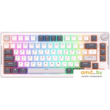 Клавиатура Royal Kludge RK-H81 RGB White Night (RK Brown)