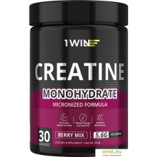 Моногидрат креатина 1WIN MONOHYDRATE (200г, ягодный микс)