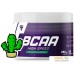 Аминокислоты Trec Nutrition BCAA High Speed (кактус, 250 г). Фото №1