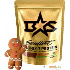 Протеин Binasport Excellent Matrix-7 Protein (1000г, имбирный пряник)