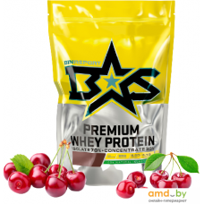 Протеин Binasport Premium Whey Protein (750г, вишня)