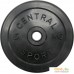 Штанга Central Sport 26 мм 50 кг. Фото №3