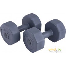 Гантели Atemi AD-02 2x5 кг