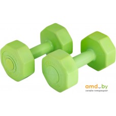 Гантели Atemi AD-02 2x2 кг