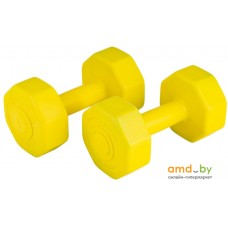 Гантели Atemi AD-02 2x1.5 кг