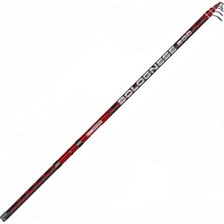 

Удилище Salmo Team Salmo Bolognese 6.00 5550-600, Team Salmo Bolognese 6.00 5550-600
