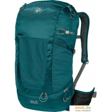 Рюкзак Jack Wolfskin Kingston 30 Pack (dark spruce)