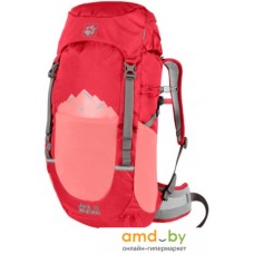 Рюкзак Jack Wolfskin Pioneer 22 Pack 2008221-2058 (tulip red)