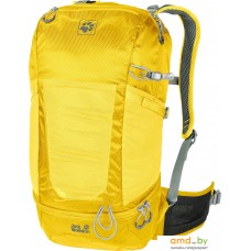 Рюкзак Jack Wolfskin Kingston 22 Pack (dark sulphur)